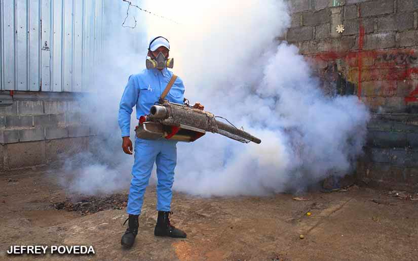 FUMIGACION